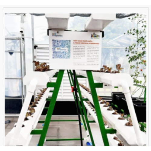 Bộ STEM lĩnh vực hóa, sinh, môi trường và nông nghiệp gồm hệ thống thủy canh NFT, tưới, đèn LED quang hợp, tablet, nguyên liệu sản xuất Bộ STEM lĩnh vực hóa, sinh, môi trường và nông nghiệp gồm hệ thống thủy canh NFT, tưới, đèn LED quang hợp, tablet, nguyên liệu sản xuất